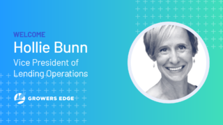 pr-team_welcome-hollie-vp