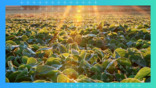 news-retail-centric-vc-investement