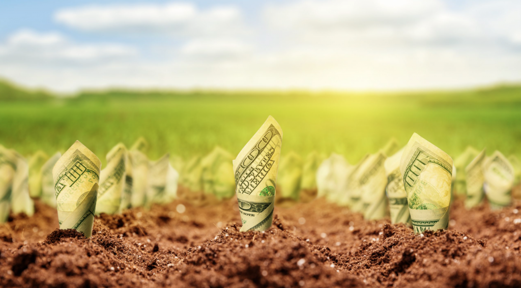 Growing money in a field