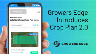 MicrosoftTeams-image (59)