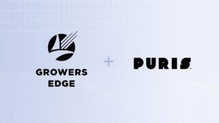 MicrosoftTeams-image (63)