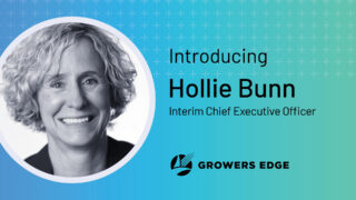 MicrosoftTeams-image (137)