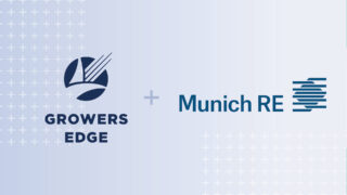 MicrosoftTeams-image (151)