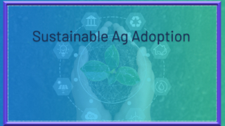sustainable ag adoption