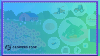 high interest rates low commodity prices