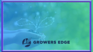 sustainable stewardship