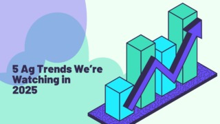 Graphic of a 3D bar chart with an arrow pointing up and to the right, plus the title of the blog