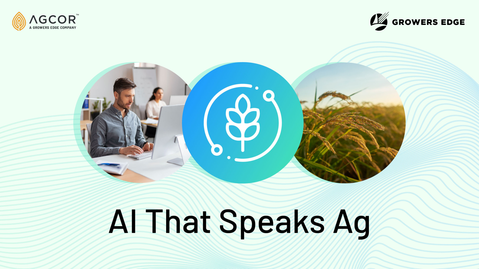 Three circles on a green background. One shows a white man at a computer; one shows a leaf with lines arcing around it; one shows a planted field. Text reads "AI That Speaks Ag"