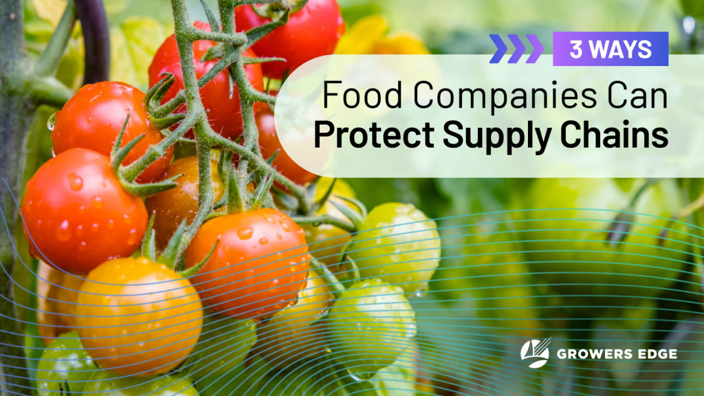 Close-up image of tomatoes on the vine. Text reads "3 Ways Food Companies Can Protect Supply Chains"