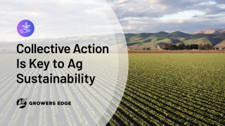 Image of a field; text reads "Collective Action is Key to Ag Sustainability"