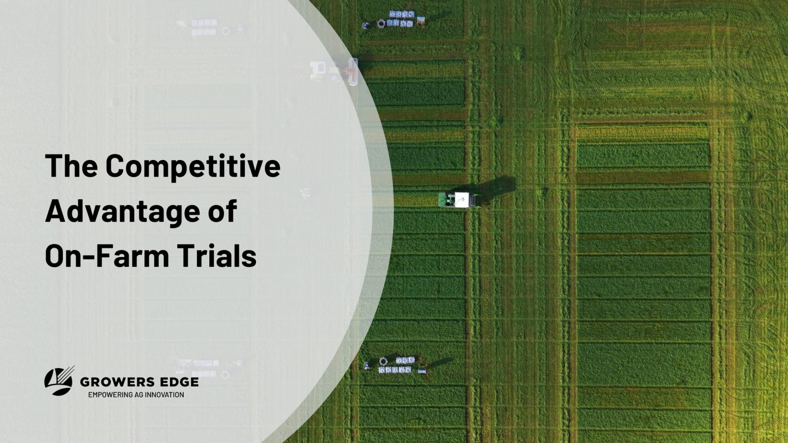 Aerial view of replicated on-farm trial plots used to evaluate crop input performance and generate local agronomic insights.