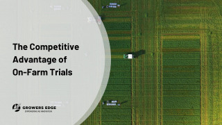 Aerial view of replicated on-farm trial plots used to evaluate crop input performance and generate local agronomic insights.