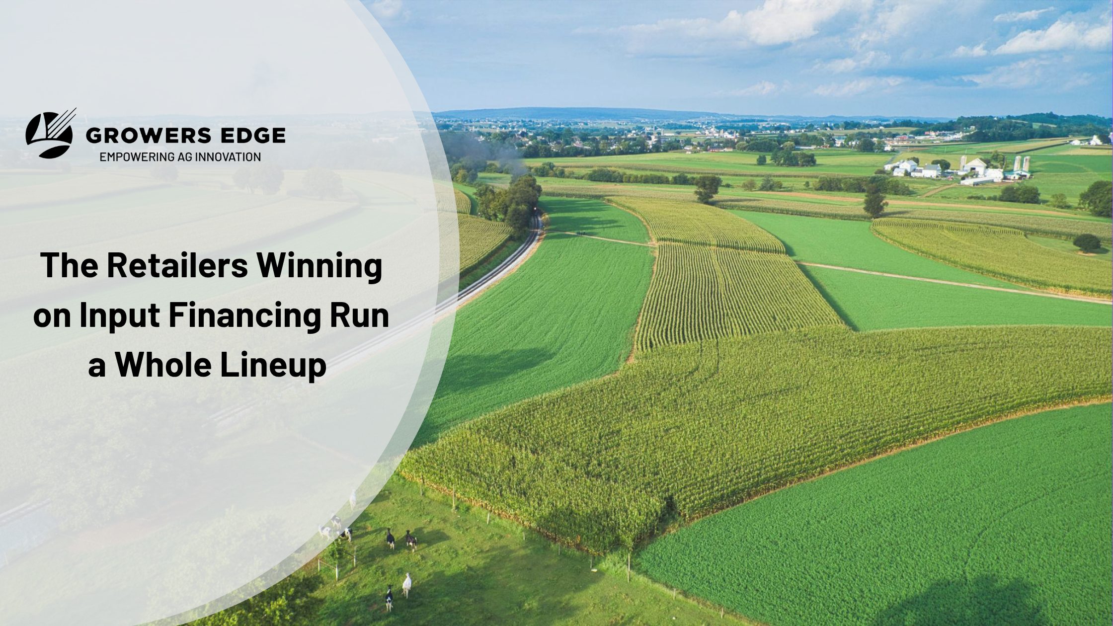 The retailers winning on input financing run a whole lineup
